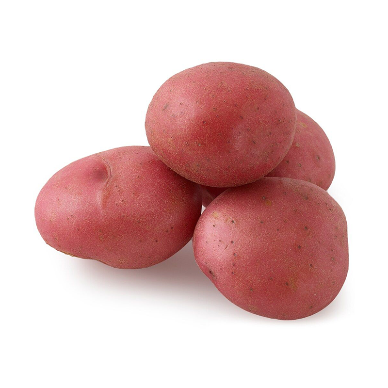 Pomme de terre rouge